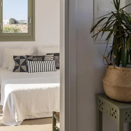 Gaia - Design And Convivial Villa Paraspori (Paros)